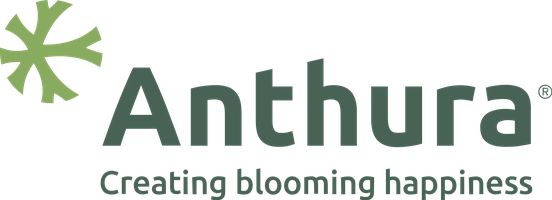 Anthura