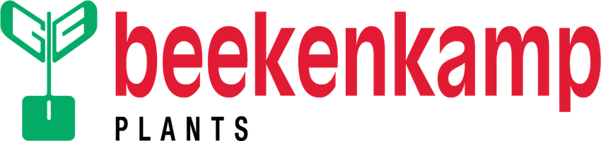 Beekenkamp Plants