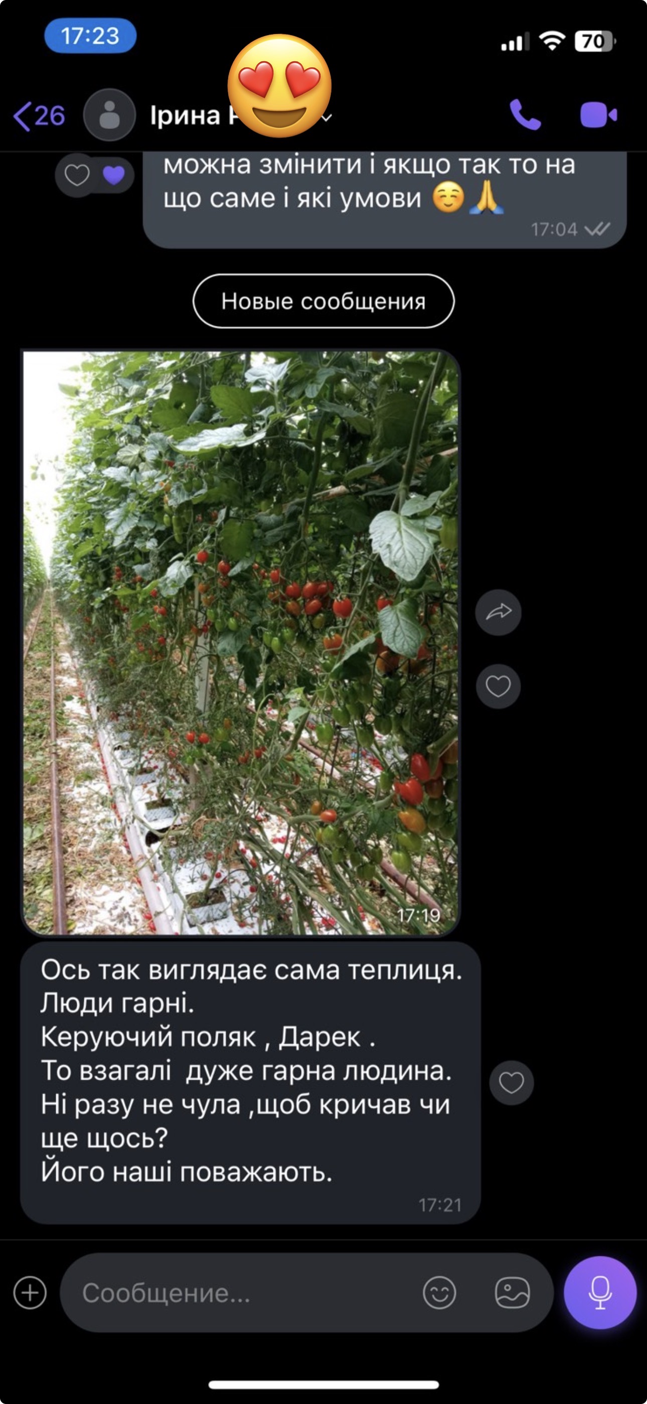 Скріншот переписки: фото теплиці з томатами в Нідерландах